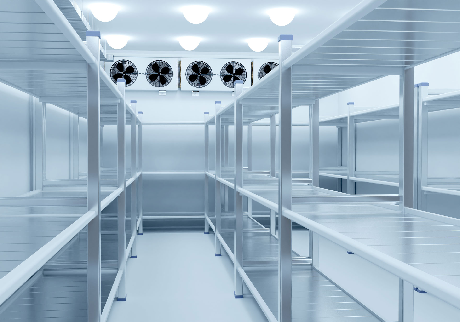 Induveca
